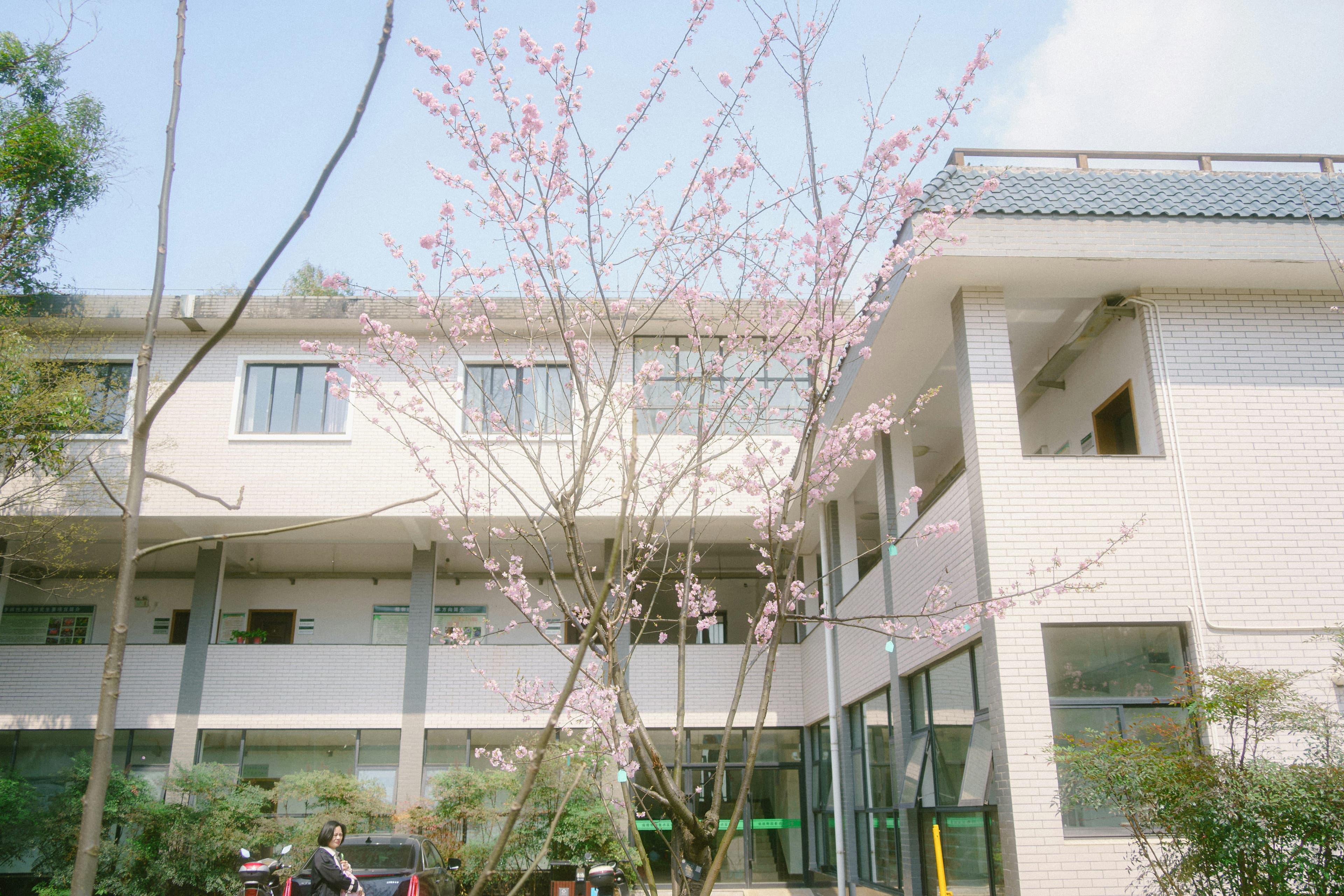 Botilbud & Døgninstitutioner